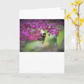 Abeille, carte (Fleur jaune)