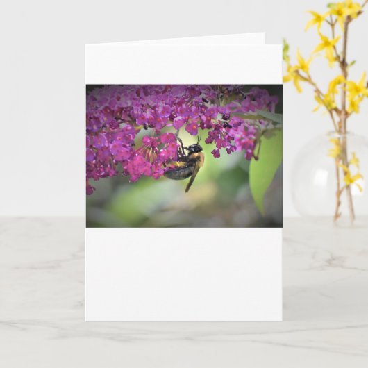 Abeille, carte (Fleur jaune)