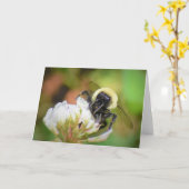 Abeille, carte (Fleur jaune)