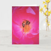 Abeille, carte (Fleur jaune)