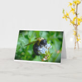 Abeille, carte (Fleur jaune)