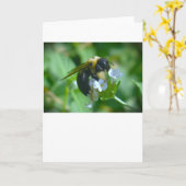 Abeille, carte (Fleur jaune)