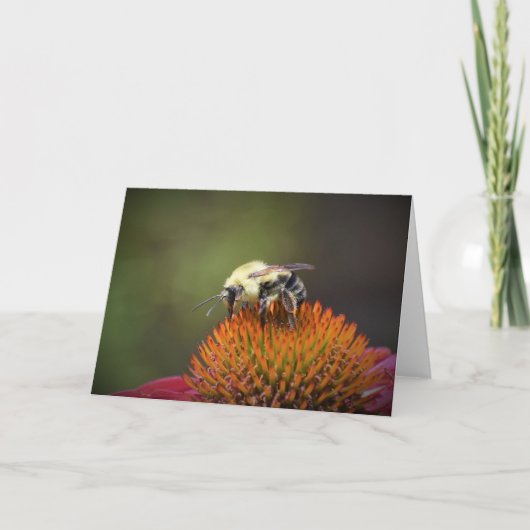 Abeille, carte (Devant)