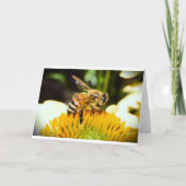 Abeille, carte (Devant)