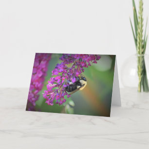Abeille, carte