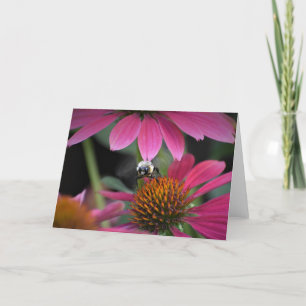 Abeille, carte