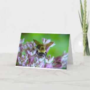 Abeille, carte