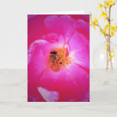 Abeille, carte (Fleur jaune)