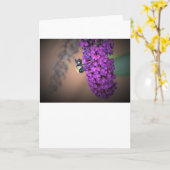 Abeille, carte (Fleur jaune)