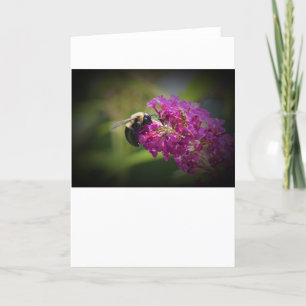 Abeille, carte