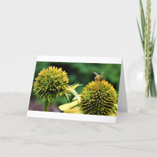 Abeille, carte