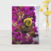 Abeille, carte (Fleur jaune)