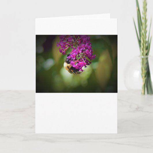 Abeille, carte (Devant)