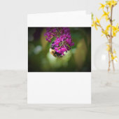 Abeille, carte (Fleur jaune)