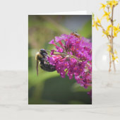 Abeille, carte (Fleur jaune)