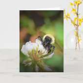 Abeille, carte (Fleur jaune)