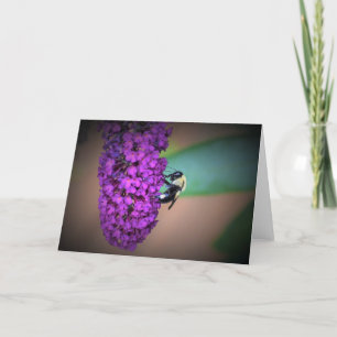 Abeille, carte