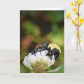 Abeille, carte (Fleur jaune)