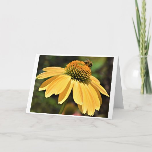 Abeille, carte (Devant)