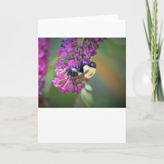 Abeille, carte (Devant)