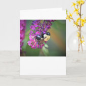 Abeille, carte (Fleur jaune)