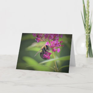 Abeille, carte
