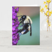 Abeille, carte (Fleur jaune)