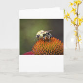 Abeille, carte (Fleur jaune)