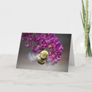 Abeille, carte