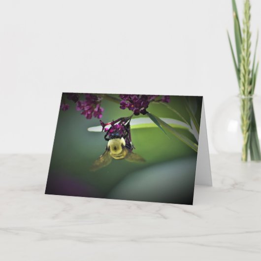 Abeille, carte (Devant)