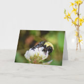 Abeille, carte (Fleur jaune)
