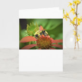 Abeille, carte (Fleur jaune)