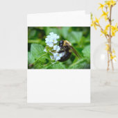 Abeille, carte (Fleur jaune)