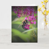 Abeille, carte (Fleur jaune)