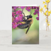 Abeille, carte (Fleur jaune)