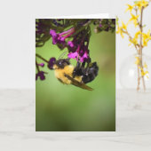 Abeille, carte (Fleur jaune)