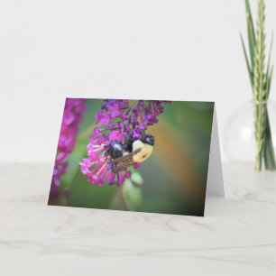 Abeille, carte