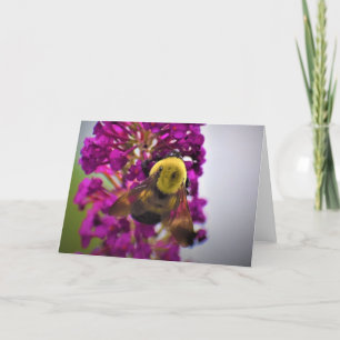 Abeille, carte