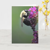 Abeille, carte (Fleur jaune)