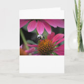 Abeille, carte (Devant)