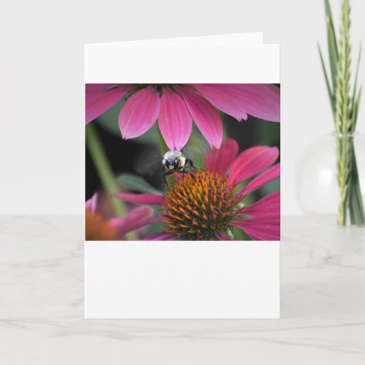 Abeille, carte (Devant)