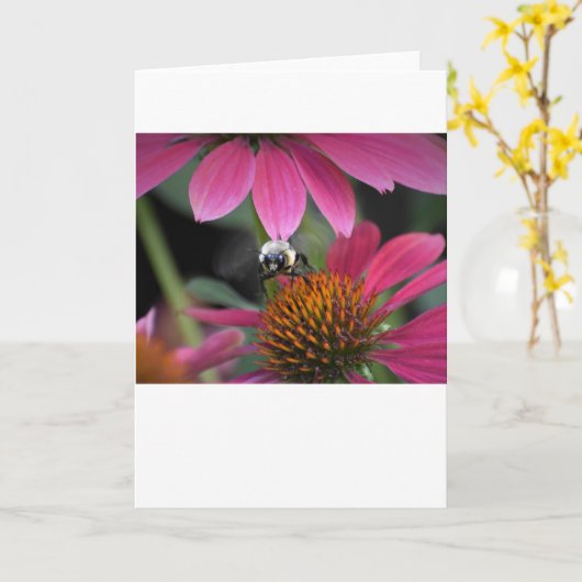 Abeille, carte (Fleur jaune)