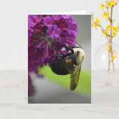 Abeille, carte (Fleur jaune)