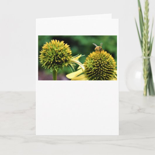 Abeille, carte (Devant)