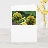 Abeille, carte (Fleur jaune)