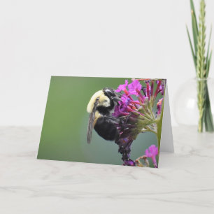 Abeille, carte