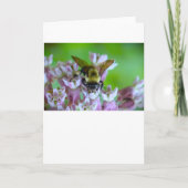 Abeille, carte (Devant)