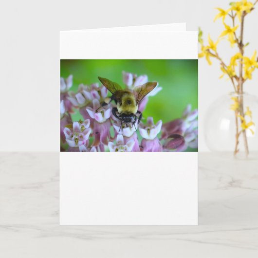 Abeille, carte (Fleur jaune)