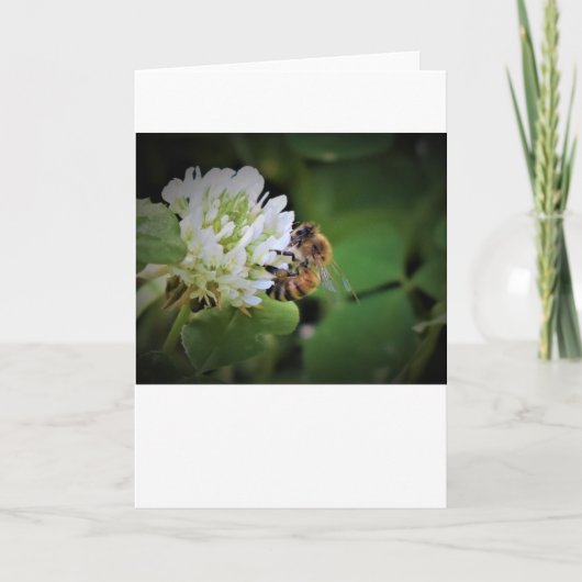 Abeille, carte (Devant)