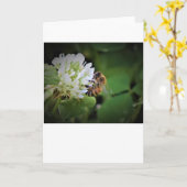 Abeille, carte (Fleur jaune)